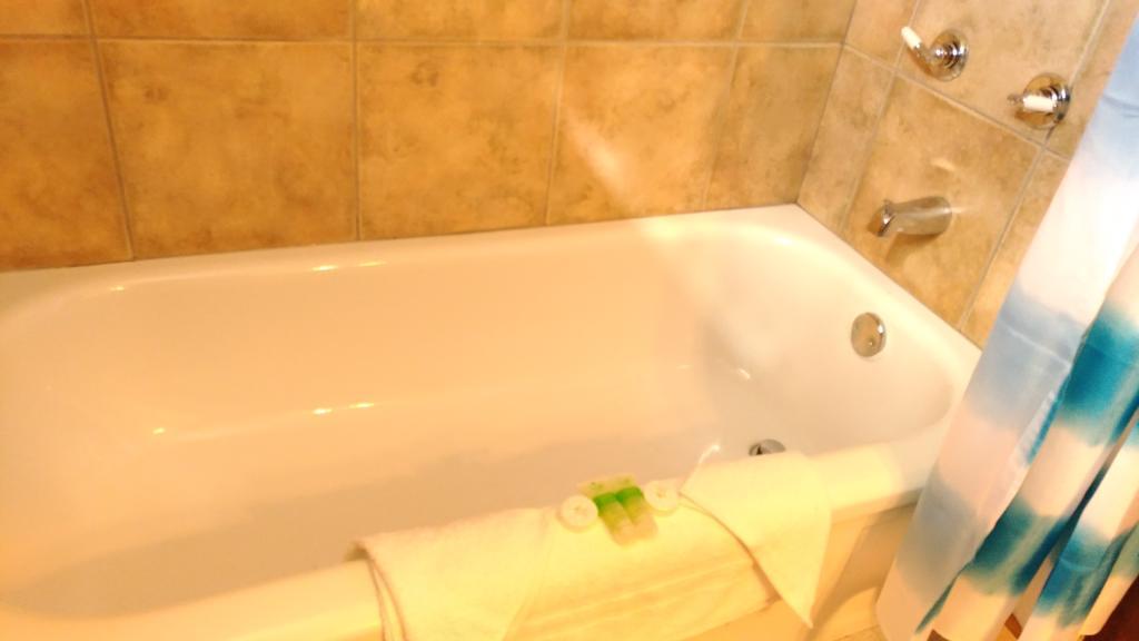 Maple Leaf Motel Delhi Ngoại thất bức ảnh